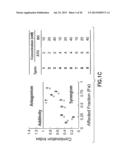 Method of Treating Cancer Using Combination of a Bifunctional Alkylating     Agent and DNA Repair Inhibitors diagram and image