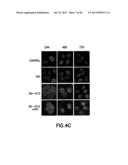 Method of Treating Cancer Using Combination of a Bifunctional Alkylating     Agent and DNA Repair Inhibitors diagram and image