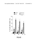 Method of Treating Cancer Using Combination of a Bifunctional Alkylating     Agent and DNA Repair Inhibitors diagram and image