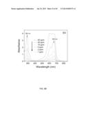 BIOCIDAL IRON OXIDE COATING, METHODS OF MAKING, AND METHODS OF USE diagram and image