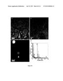 NANOCOMPOSITES diagram and image