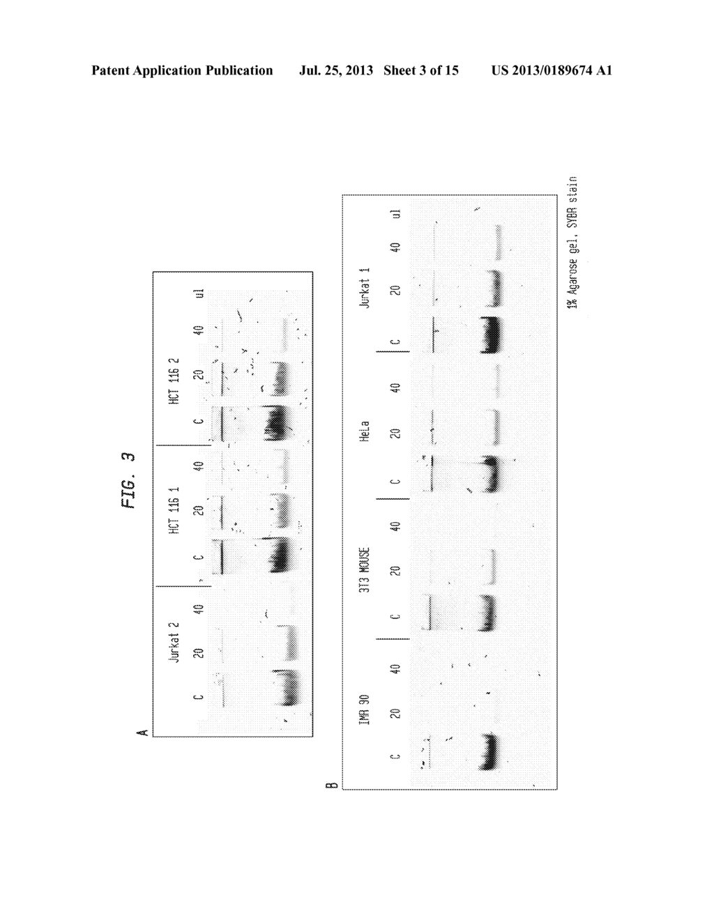 Methods and Compositions for Enriching Either Target Polynucleotides or     Non-Target Polynucleotides from a Mixture of Target and Non-Target     Polynucleotides - diagram, schematic, and image 04