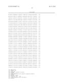 ABC terpenoid transporters and methods of using the same diagram and image