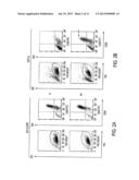 IDENTIFICATION OF A JAK2 MUTATION INVOLVED IN VAQUEZ POLYGLOBULIA diagram and image