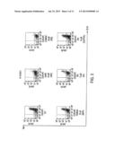 IDENTIFICATION OF A JAK2 MUTATION INVOLVED IN VAQUEZ POLYGLOBULIA diagram and image