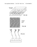 RARE CELL ANALYSIS USING SAMPLE SPLITTING AND DNA TAGS diagram and image