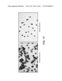 RARE CELL ANALYSIS USING SAMPLE SPLITTING AND DNA TAGS diagram and image