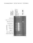 RARE CELL ANALYSIS USING SAMPLE SPLITTING AND DNA TAGS diagram and image