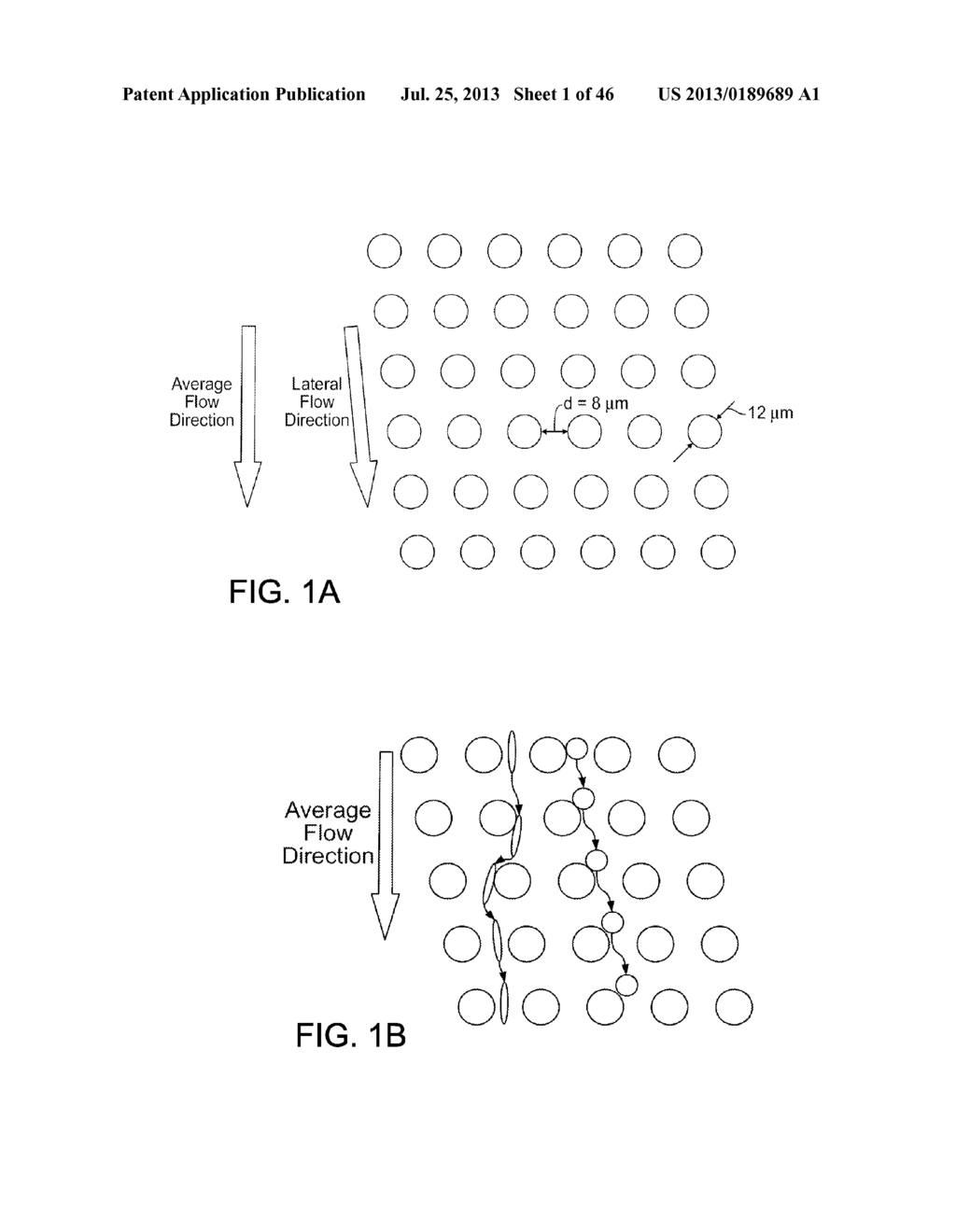 RARE CELL ANALYSIS USING SAMPLE SPLITTING AND DNA TAGS - diagram, schematic, and image 02