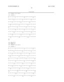 IDENTIFICATION OF ISOLATED GENOMIC NUCLEOTIDE FRAGMENTS FROM THE p15     REGION OF CHROMOSOME 11 ENCODING HUMAN CLUSTER OF DIFFERENTIATION ANTIGEN     81 AND VARIANTS THEREOF diagram and image