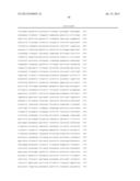 IDENTIFICATION OF ISOLATED GENOMIC NUCLEOTIDE FRAGMENTS FROM THE p15     REGION OF CHROMOSOME 11 ENCODING HUMAN CLUSTER OF DIFFERENTIATION ANTIGEN     81 AND VARIANTS THEREOF diagram and image