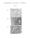 Method And Assay Kit For Detection Of Toxicity Induced By Pyrrolizidine     Alkaloids diagram and image