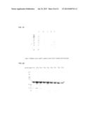 Method And Assay Kit For Detection Of Toxicity Induced By Pyrrolizidine     Alkaloids diagram and image