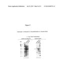 Hemolysin and its Protein Fragments in Sero-Detection of Anaplasma     Phagocytophilum diagram and image