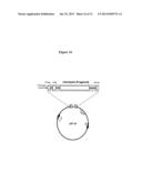 Hemolysin and its Protein Fragments in Sero-Detection of Anaplasma     Phagocytophilum diagram and image