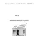 Hemolysin and its Protein Fragments in Sero-Detection of Anaplasma     Phagocytophilum diagram and image