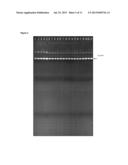 METHOD FOR PREPARING AND/OR PROCESSING A BIOLOGICAL SAMPLE USING A     MALODOUR COUNTERACTANT diagram and image