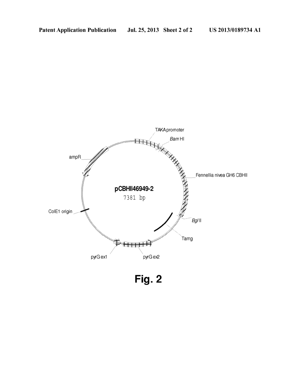 Polypeptides Having Cellobiohydrolase Activitiy and Polynucleotides     Encoding Same - diagram, schematic, and image 03