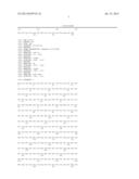 Process for engineering polyvalent, polyspecific fusion proteins using     uteroglobin as skeleton and so obtained products. diagram and image