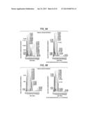 ANTIBODY COMPOSITION-PRODUCING CELL diagram and image