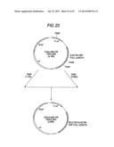 ANTIBODY COMPOSITION-PRODUCING CELL diagram and image