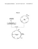 ANTIBODY COMPOSITION-PRODUCING CELL diagram and image