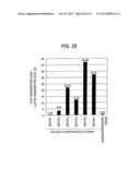 ANTIBODY COMPOSITION-PRODUCING CELL diagram and image