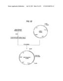 ANTIBODY COMPOSITION-PRODUCING CELL diagram and image