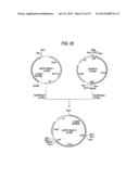 ANTIBODY COMPOSITION-PRODUCING CELL diagram and image