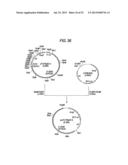 ANTIBODY COMPOSITION-PRODUCING CELL diagram and image