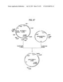 ANTIBODY COMPOSITION-PRODUCING CELL diagram and image