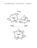 ANTIBODY COMPOSITION-PRODUCING CELL diagram and image