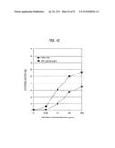 ANTIBODY COMPOSITION-PRODUCING CELL diagram and image