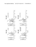 ANTIBODY COMPOSITION-PRODUCING CELL diagram and image