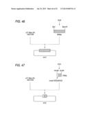 ANTIBODY COMPOSITION-PRODUCING CELL diagram and image