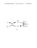 Biological Reduction of Carbon Dioxide Pollutants Systems and Methods diagram and image