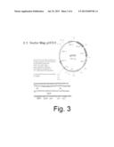 PROCESS FOR THE PRODUCTION OF HYALURONIC ACID IN ESCHERICHIA COLI OR     BACILLUS SUBTILIS diagram and image