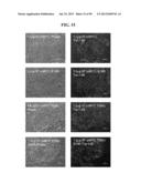 COMPOSITIONS AND METHODS FOR REPROGRAMMING MAMMALIAN CELLS diagram and image