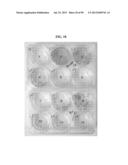 COMPOSITIONS AND METHODS FOR REPROGRAMMING MAMMALIAN CELLS diagram and image