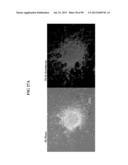 COMPOSITIONS AND METHODS FOR REPROGRAMMING MAMMALIAN CELLS diagram and image