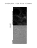 COMPOSITIONS AND METHODS FOR REPROGRAMMING MAMMALIAN CELLS diagram and image