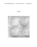 COMPOSITIONS AND METHODS FOR REPROGRAMMING MAMMALIAN CELLS diagram and image