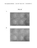 COMPOSITIONS AND METHODS FOR REPROGRAMMING MAMMALIAN CELLS diagram and image