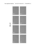 COMPOSITIONS AND METHODS FOR REPROGRAMMING MAMMALIAN CELLS diagram and image