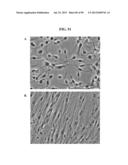 COMPOSITIONS AND METHODS FOR REPROGRAMMING MAMMALIAN CELLS diagram and image