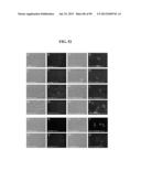 COMPOSITIONS AND METHODS FOR REPROGRAMMING MAMMALIAN CELLS diagram and image