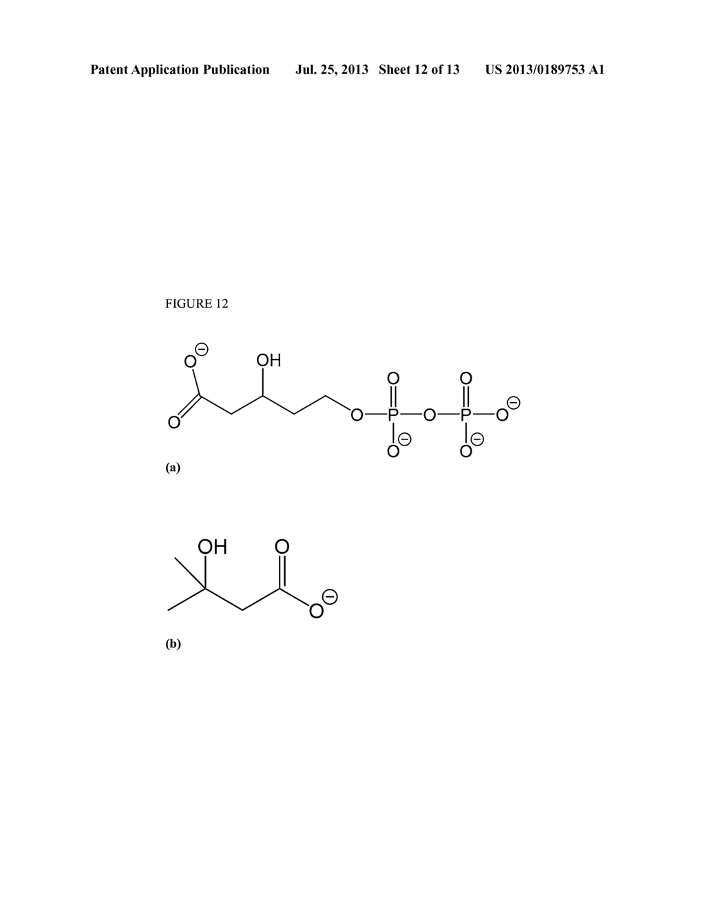 METHODS FOR BIOSYNTHESIZING 1,3 BUTADIENE - diagram, schematic, and image 13