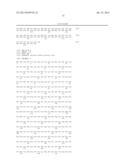 RECOMBINANT REVERSE TRANSCRIPTASES diagram and image