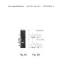 MULTI PLASMID SYSTEM FOR THE PRODUCTION OF INFLUENZA VIRUS diagram and image