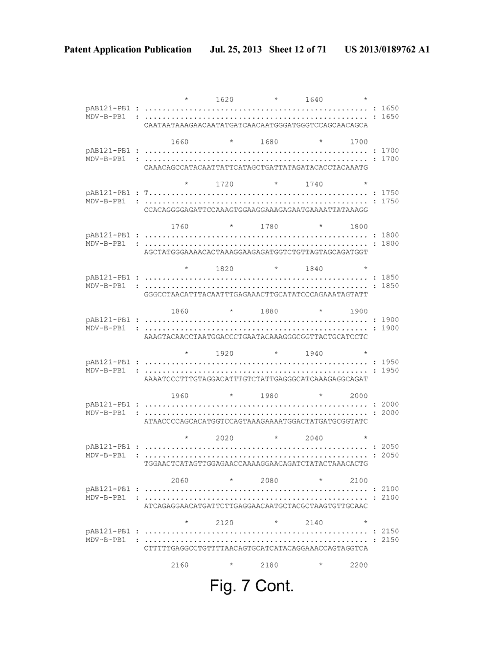 MULTI PLASMID SYSTEM FOR THE PRODUCTION OF INFLUENZA VIRUS - diagram, schematic, and image 13